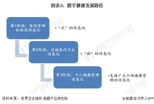 2023年中國健康服務(wù)行業(yè)數(shù)字技術(shù)應(yīng)用現(xiàn)狀與趨勢分析